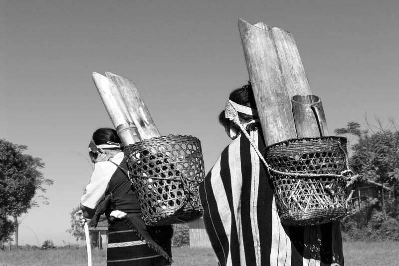 Human Right to Water in Nagaland - women carrying heavy loads of water on the back in traditional bamboo pipe containers in Tuensang district